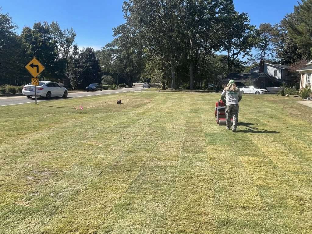 sod installation company greenville sc