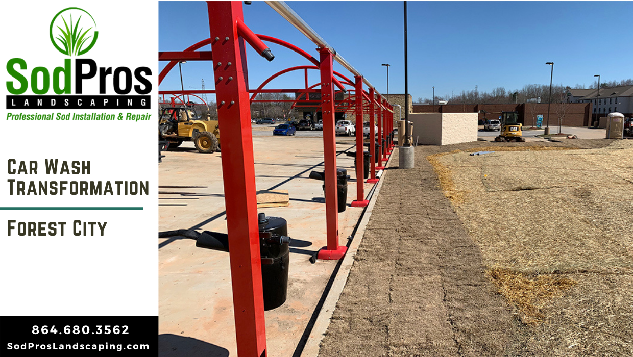 Forest City Car Wash transformation by Sod Pros in Spartanburg