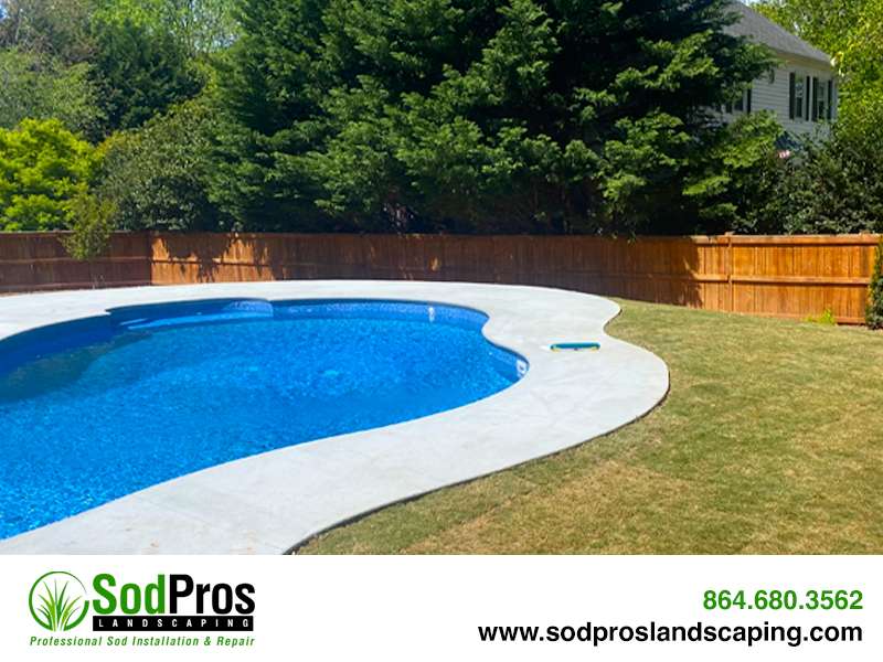 Poolside landscaping featuring a blue swimming pool surrounded by freshly installed sod and a wooden fence, highlighting Sod Pros Landscaping's expertise in enhancing outdoor living spaces.