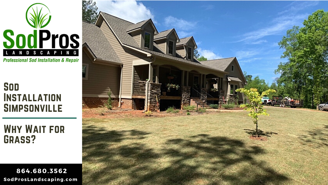 Sod installation project showcasing a newly landscaped home in Simpsonville, featuring freshly laid sod, a well-maintained yard, and the Sod Pros Landscaping logo with contact information.