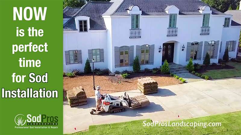 sod installation in the spring time in greenville, sc