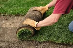 Person laying down a roll of sod on prepared soil for lawn installation, demonstrating professional landscaping techniques for enhancing curb appeal.