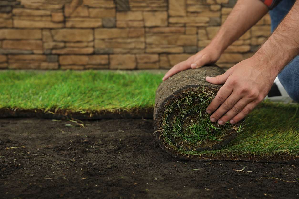 Person laying sod on prepared soil during the installation process for a healthy lawn.
