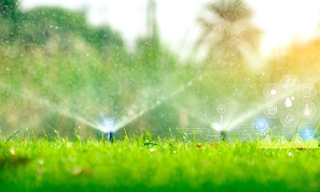 Sprinklers watering lush green grass, illustrating effective lawn care and watering techniques for healthy growth.