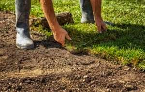 Person installing sod on prepared soil, demonstrating proper sod placement techniques for a healthy lawn.