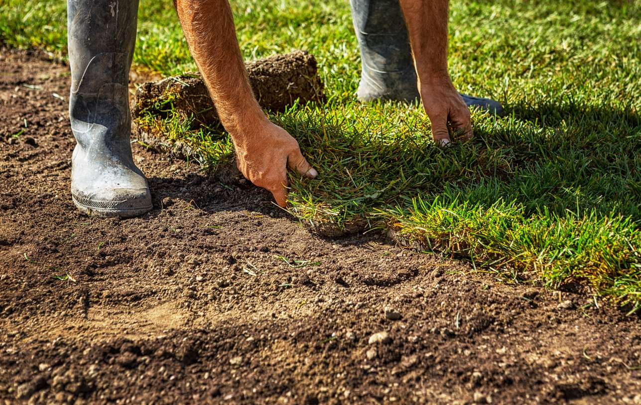 Person laying sod on soil, demonstrating sod installation for landscaping enhancement.