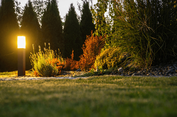 Outdoor garden lighting illuminating vibrant landscaping with colorful plants and grass, enhancing aesthetic appeal for residential properties.