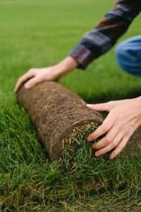 Person installing sod on green lawn, emphasizing sod installation techniques for healthy turf in Greenville, SC.