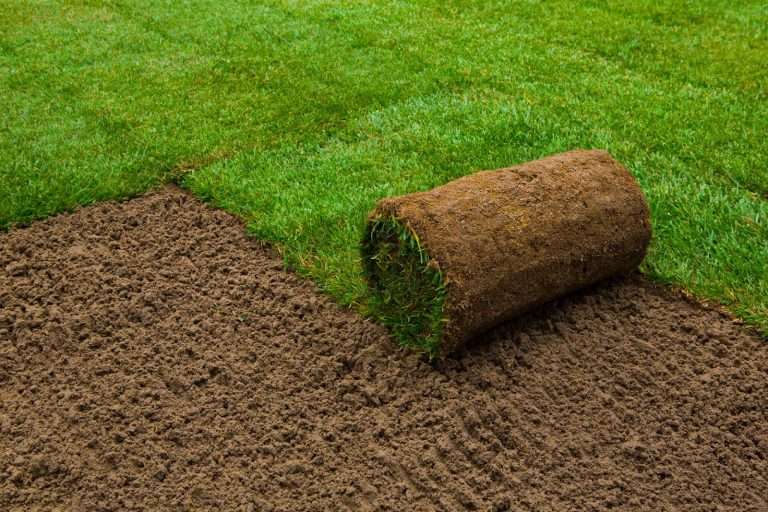 Freshly rolled sod being installed on prepared soil, representing quality sod installation services by Sod Pros Landscaping for enhancing outdoor spaces.