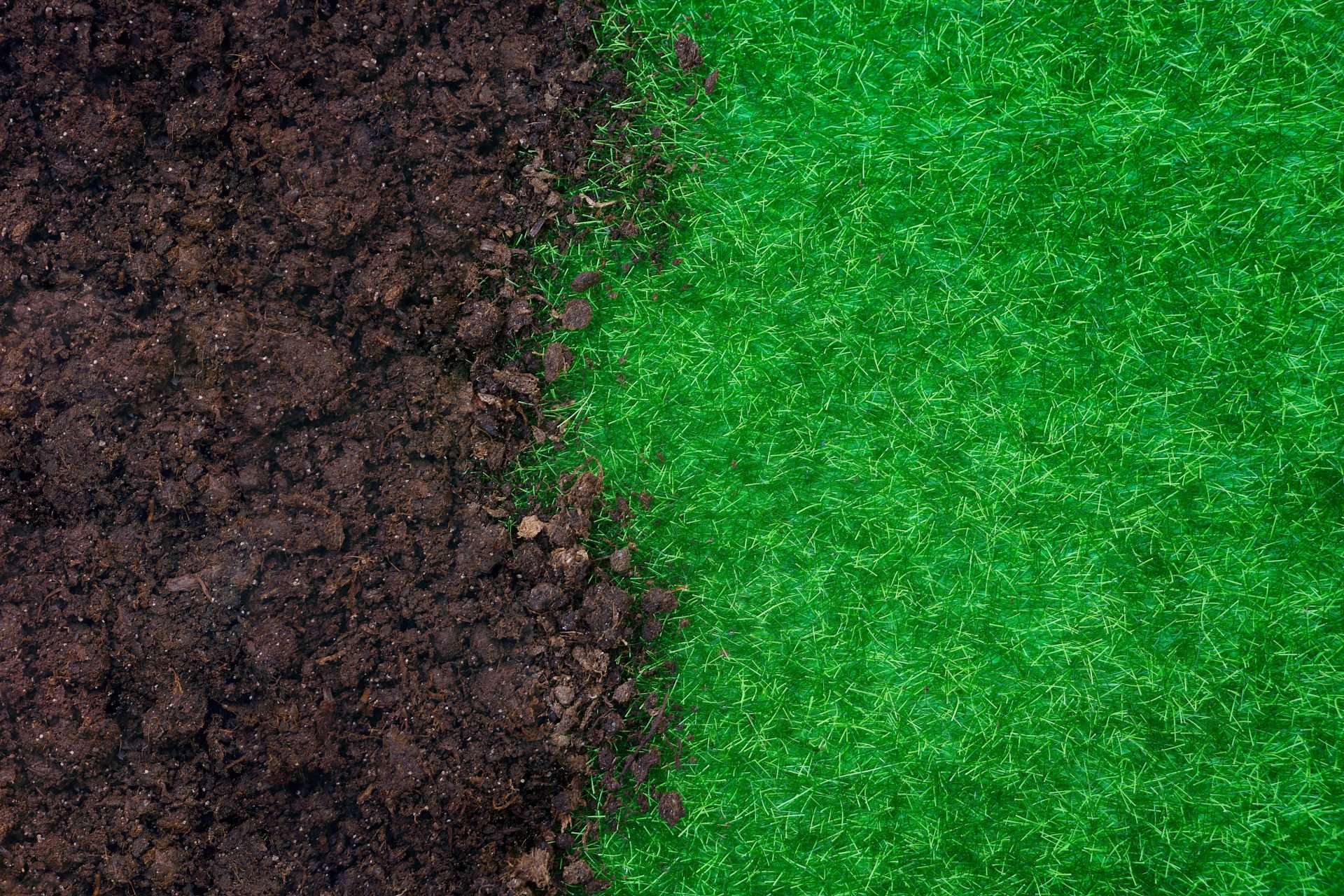 Close-up of dark, nutrient-rich soil transitioning to vibrant green grass, illustrating the benefits of top dressing for improved lawn health and aesthetics.