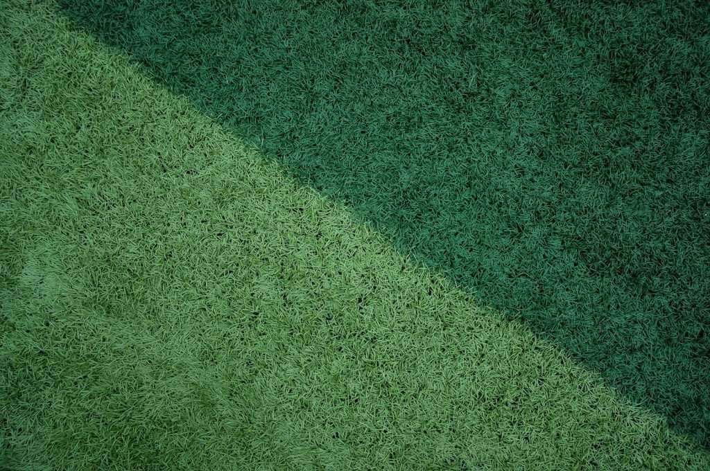 Close-up of lush green sod, showcasing the vibrant colors and textures of warm season grasses, relevant to lawn care and maintenance for Bermuda, Zoysia, and St. Augustine varieties.